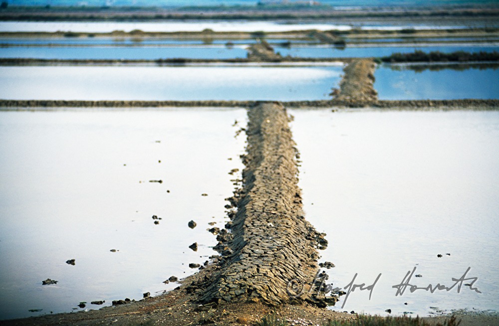 salt evaporation ponds and paths