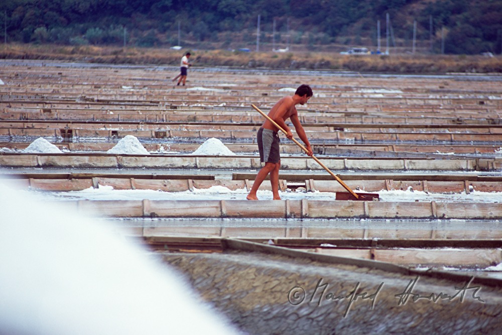 salt evaporation ponds: collecting the salt