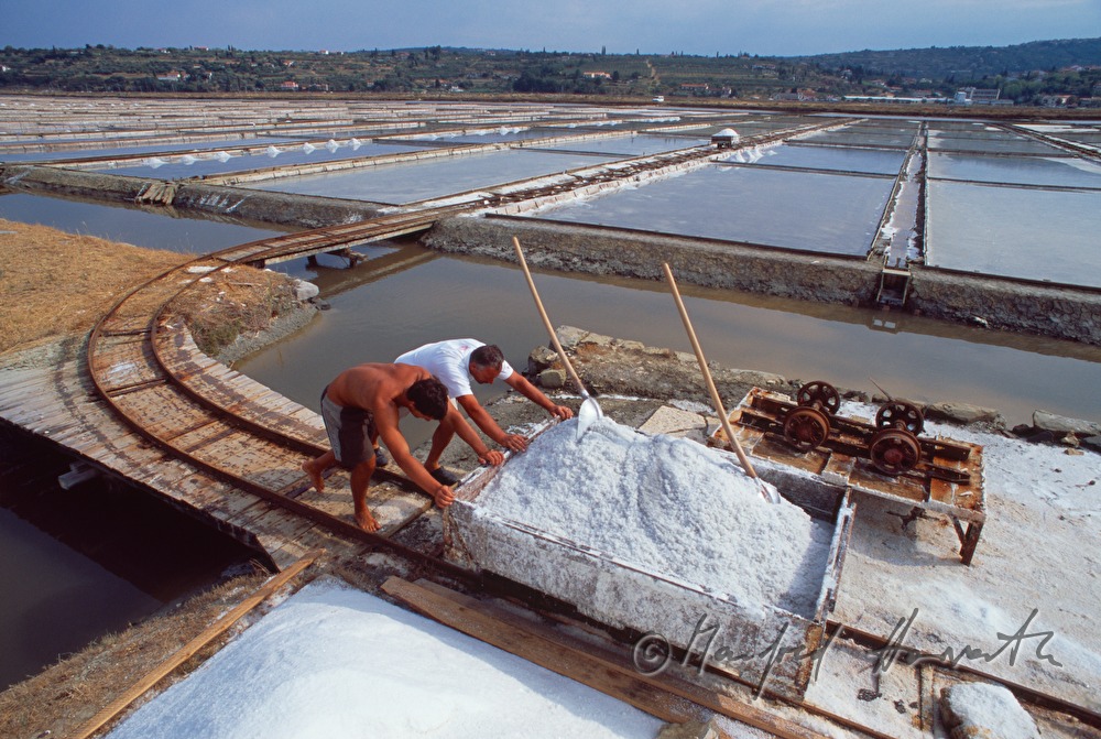 transport of sea salt with a small carriage