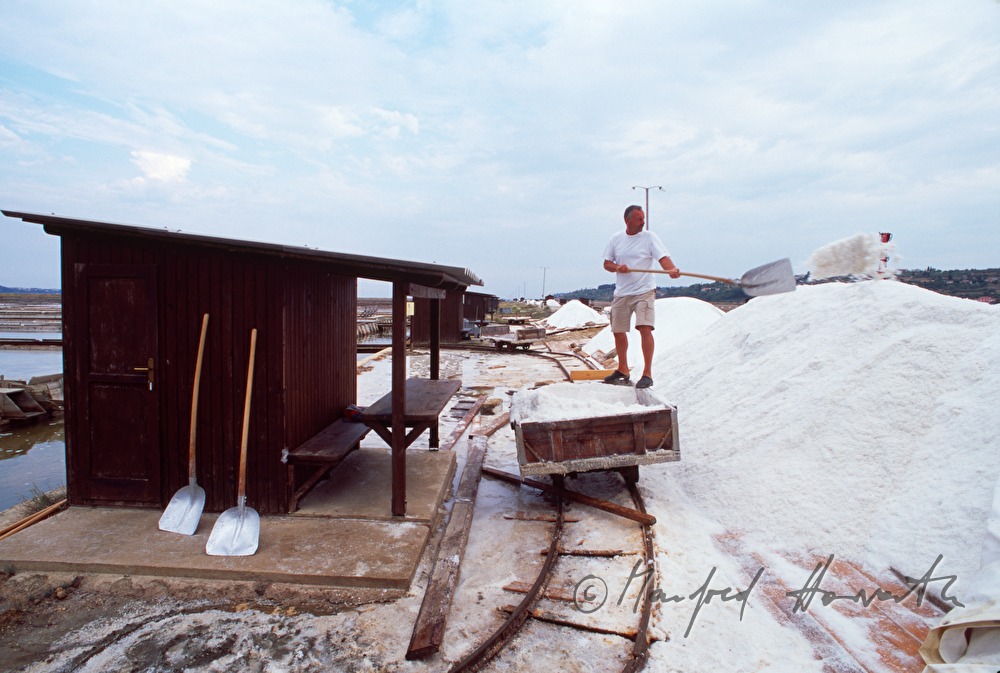 transport of sea salt with a small carriage