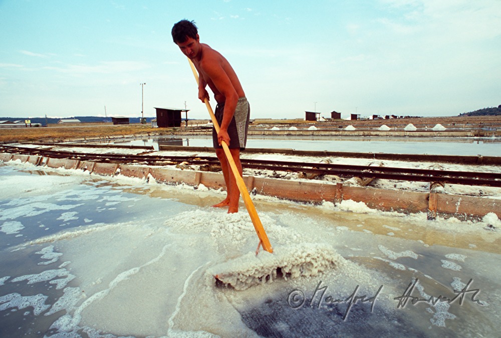 salt evaporation ponds: collecting the salt