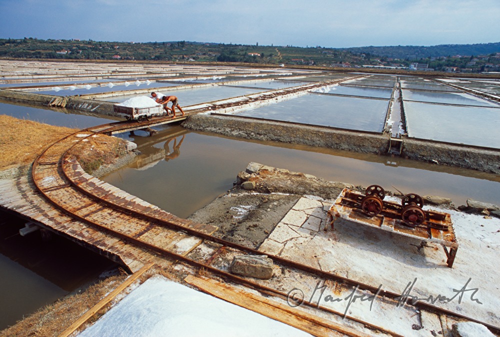 transport of sea salt with a small carriage