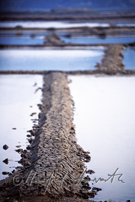 salt evaporation ponds and paths