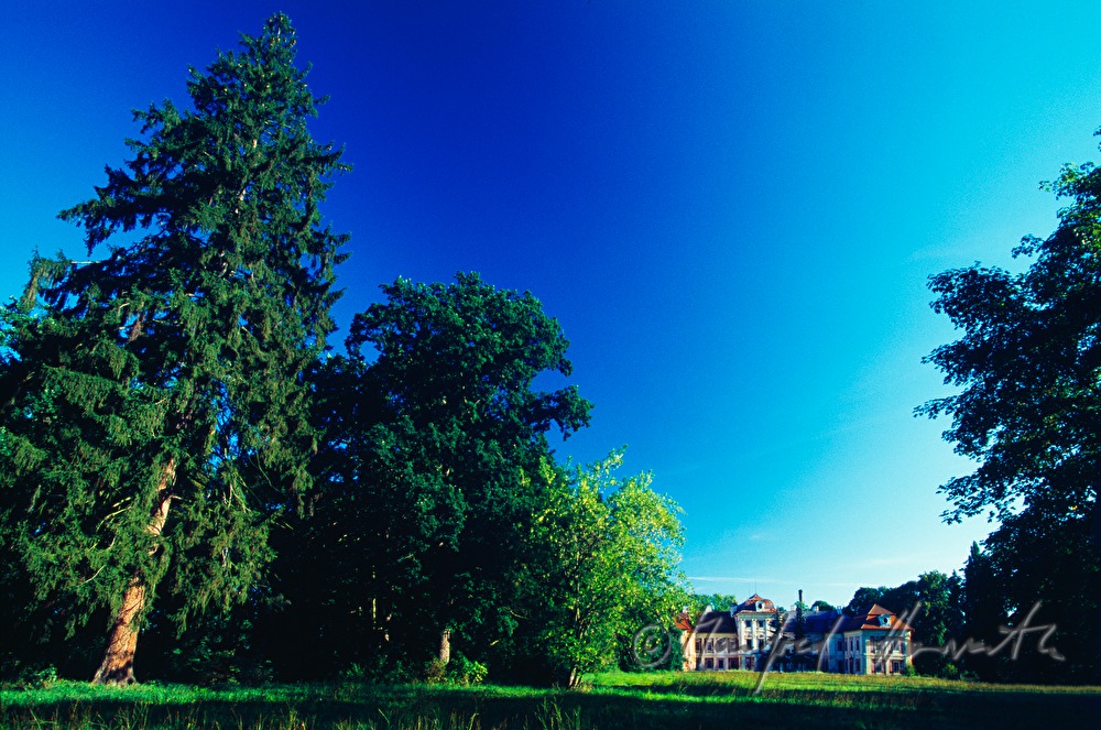 Dolní Lukavice castle and castle park