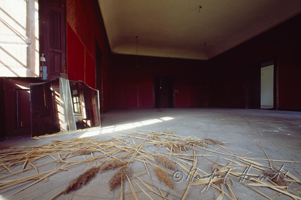ball room wit reed on the floor