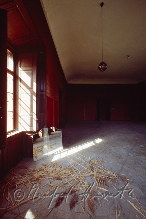 ball room wit reed on the floor