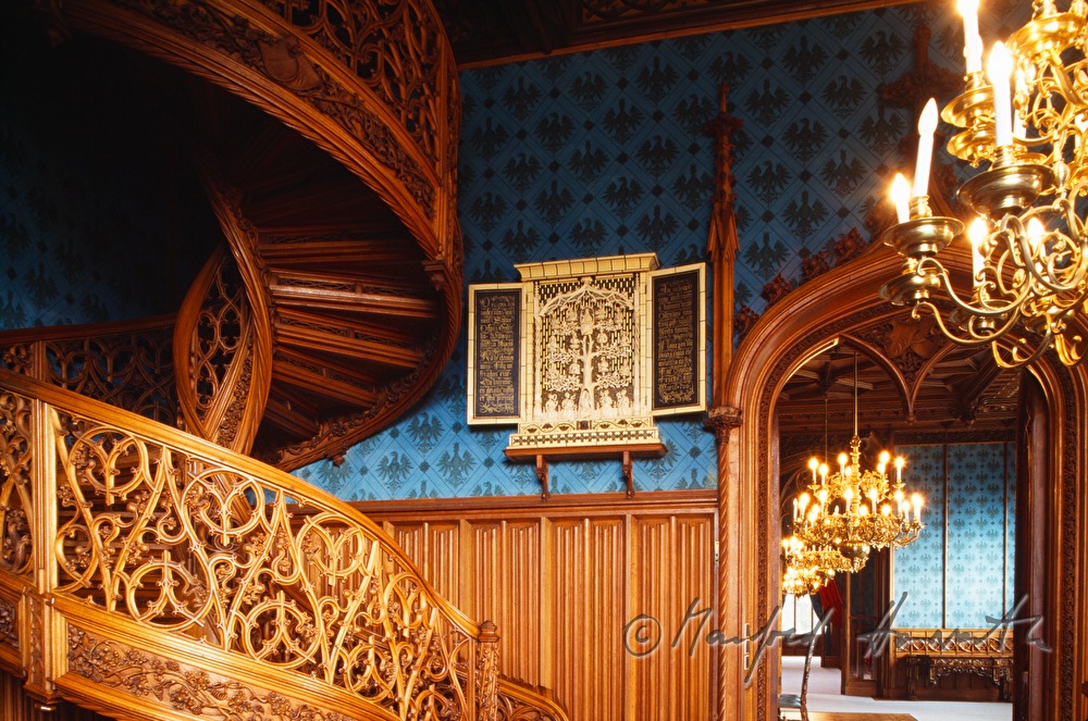 carved winding staircase in the library