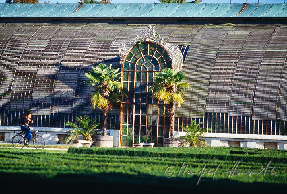gardener passes the orangery