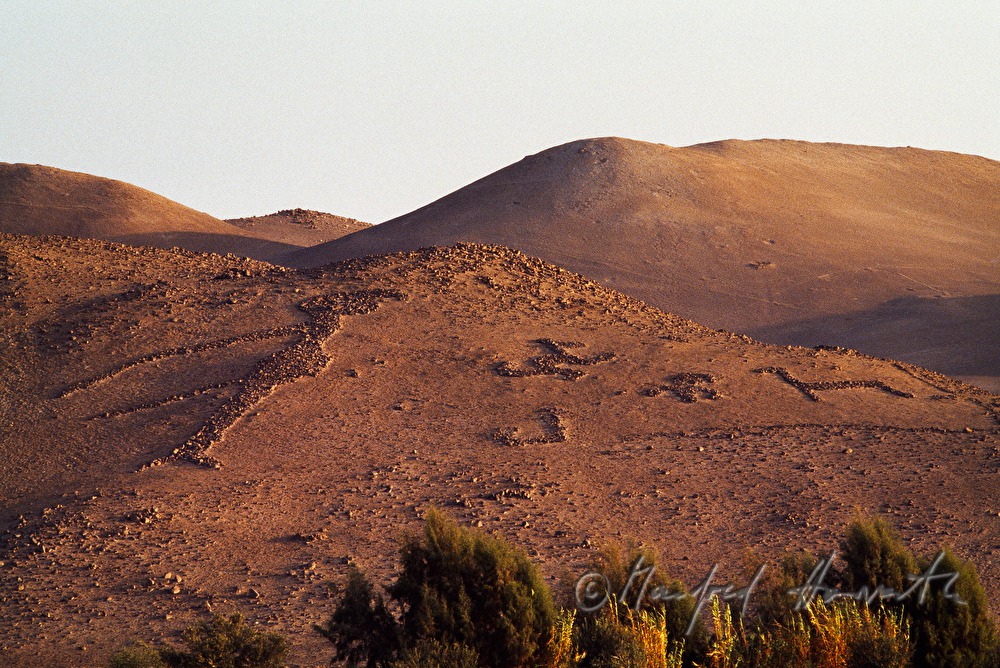 geoglyph near 