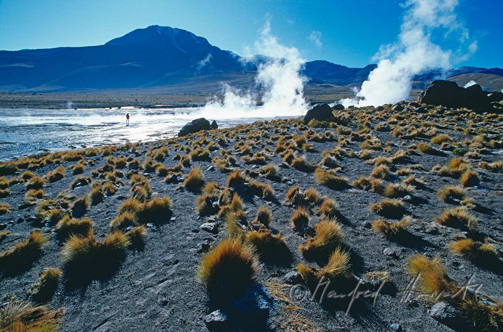 salt lakes and geysers of El Tatio
