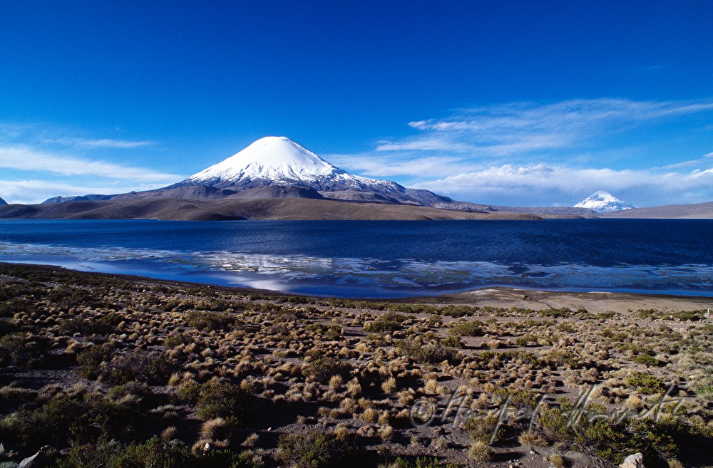 Lago Chungará and Vulkan Parinacota