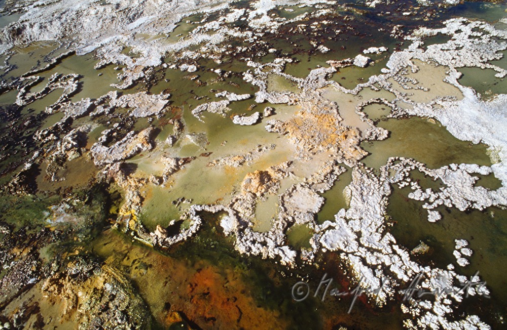 salt lakes and geysers of El Tatio