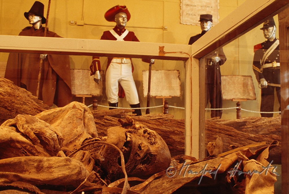 Museo Provincial Fernando Cordero Rusque, mummy