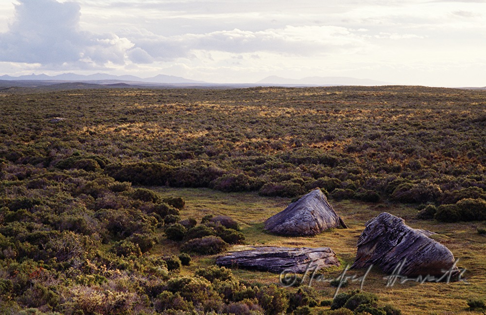 rocks in the landscape