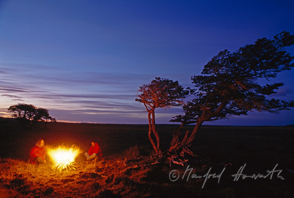 camp fire near skewed Flag Trees