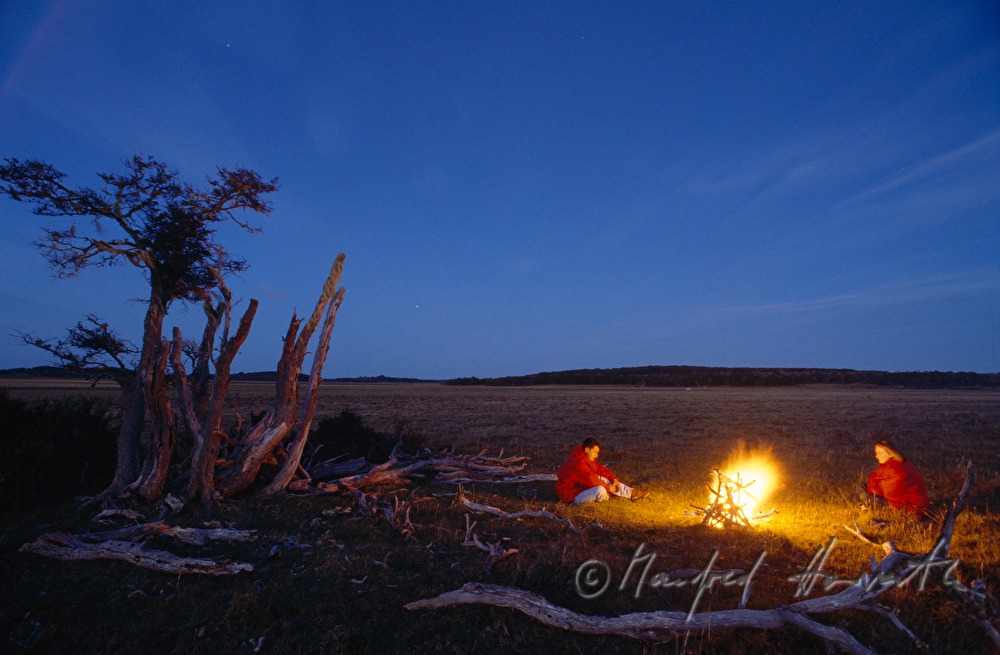 camp fire near skewed Flag Trees