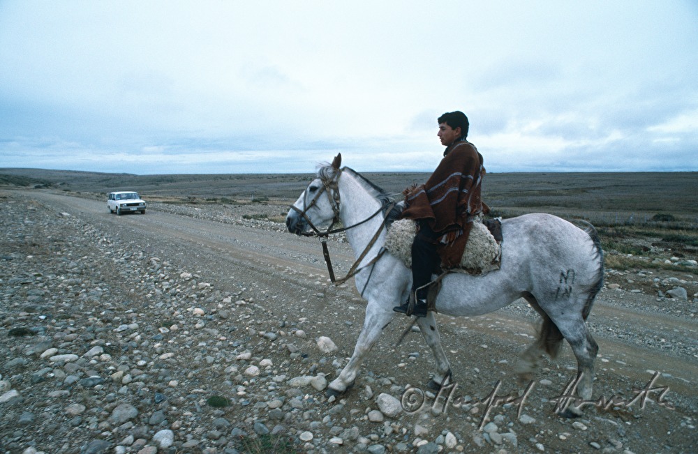 gaucho crosses the gravel road