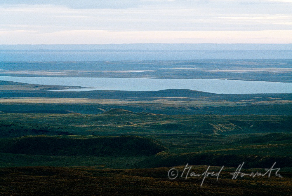 landscape and Magellanic Strait