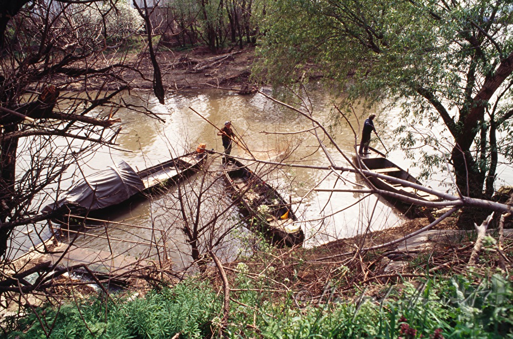 rowing boat in a billabong