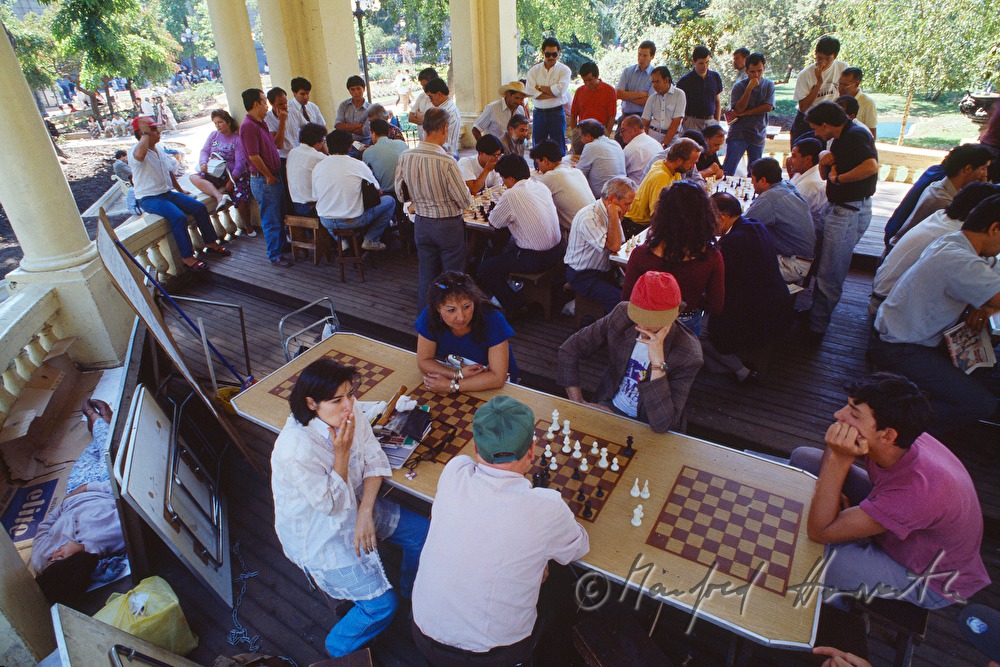 chess players in a pavillon