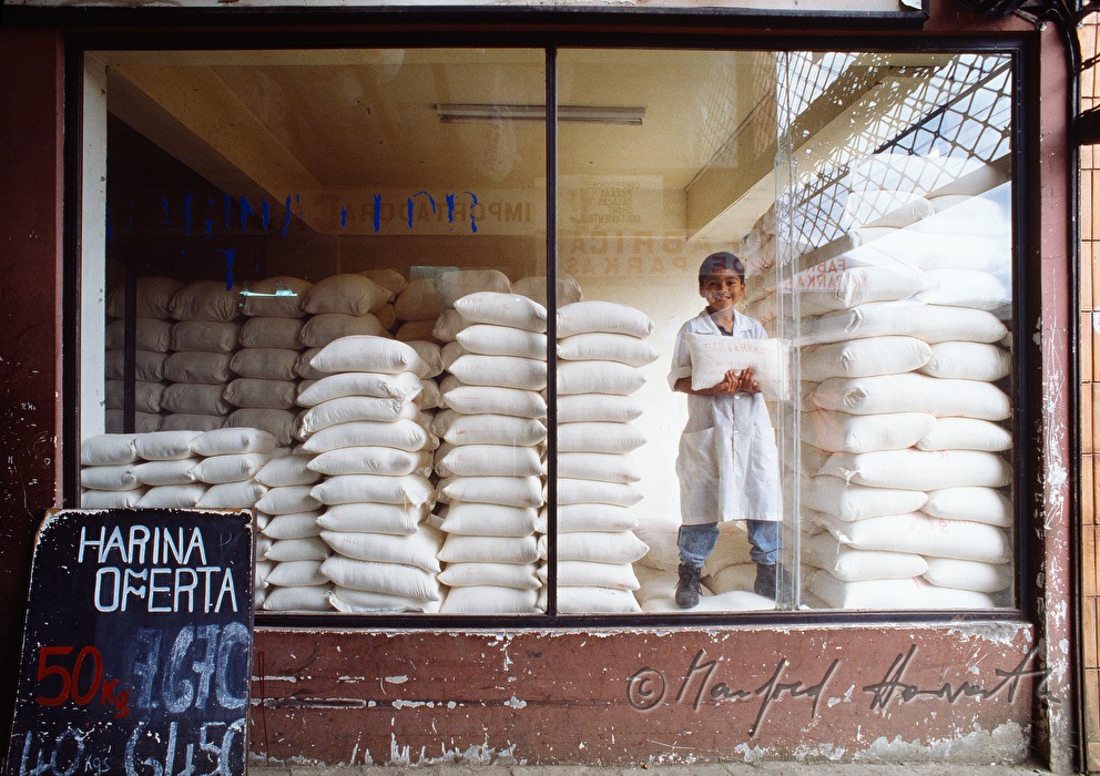 boy in the shop window of flour-shop