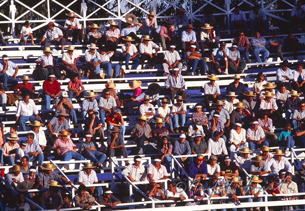 rodeo stadium, audience