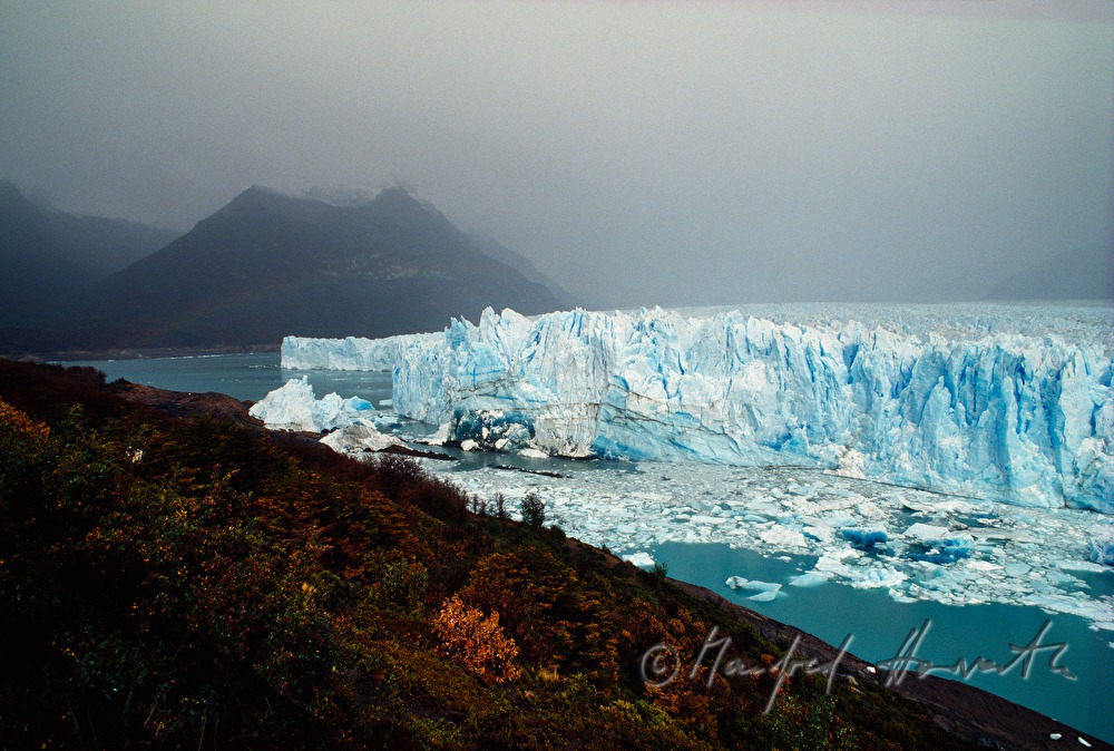 Perito Moreno Glacier calves into Lago Argentino