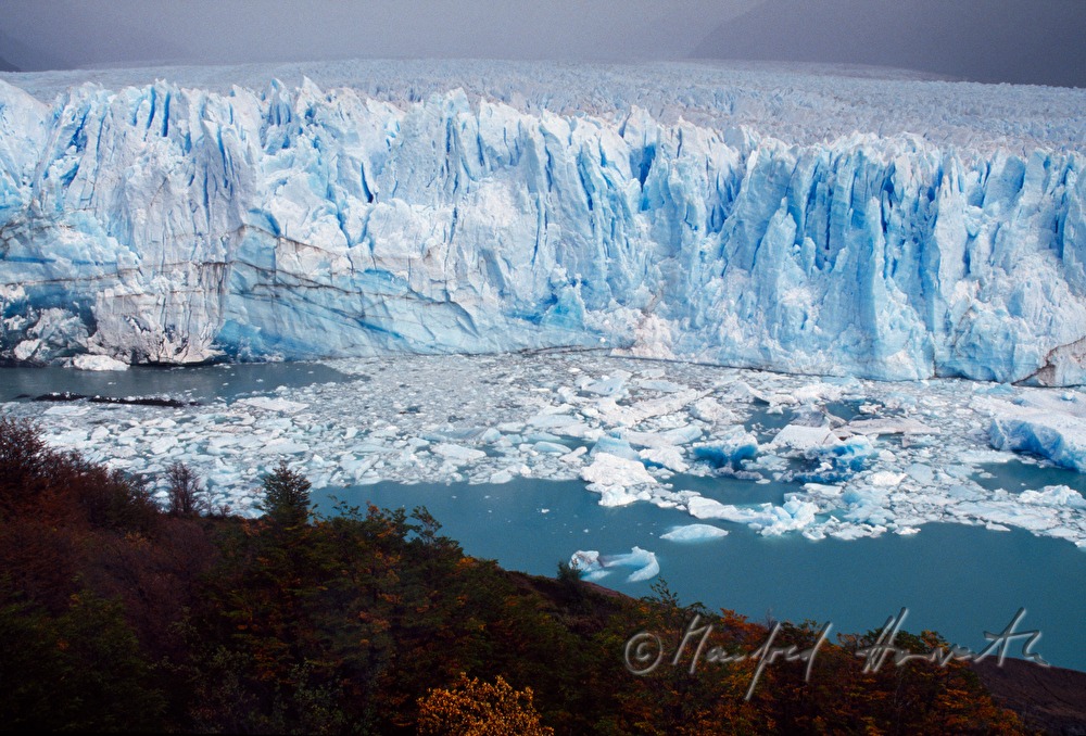Perito Moreno Glacier calves into Lago Argentino