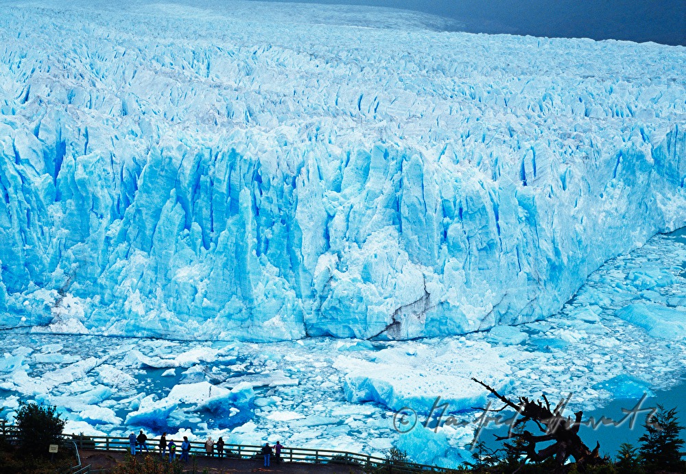 Perito Moreno Glacier calves into Lago Argentino