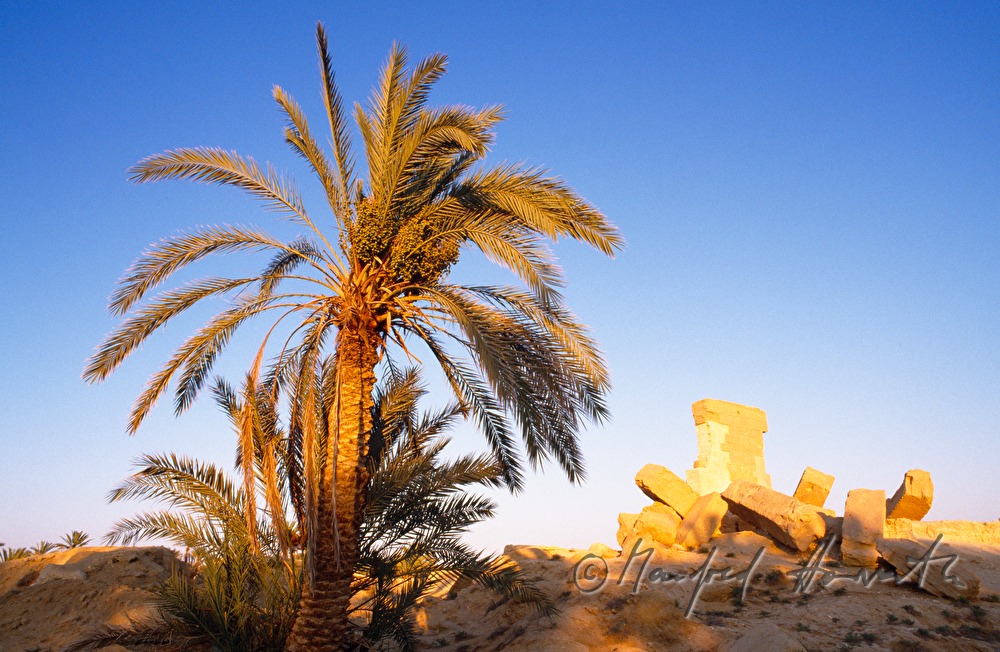 ruins of the oracle site of Amun