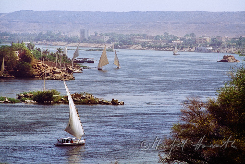 Felukas (traditional sailing boats)
