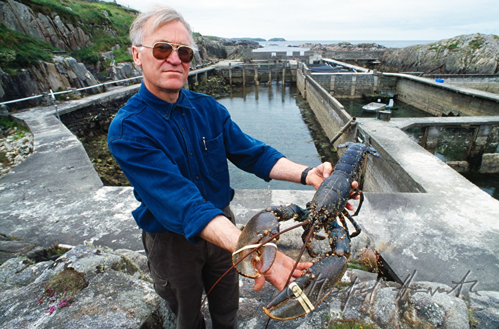 lobster farmer with lobster in his aquaculture