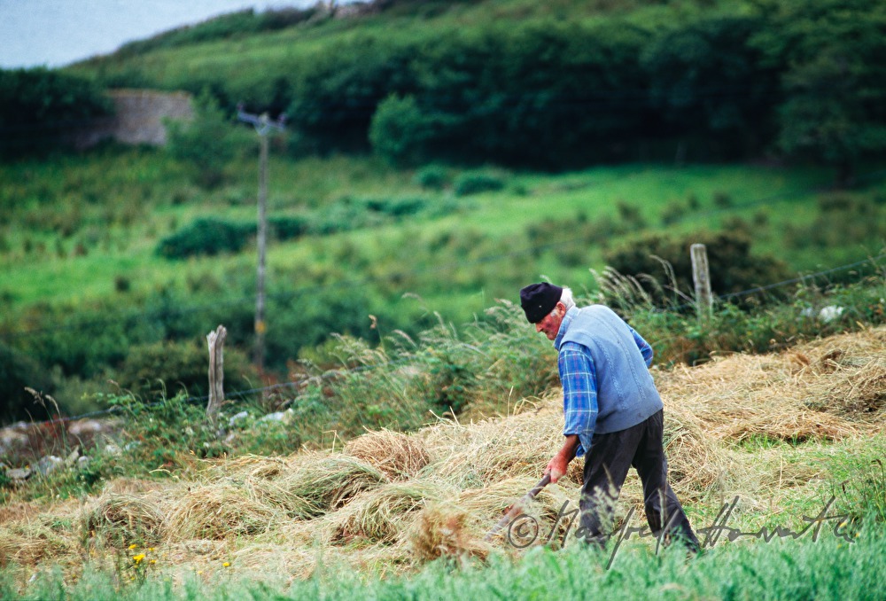 farmer makes hay