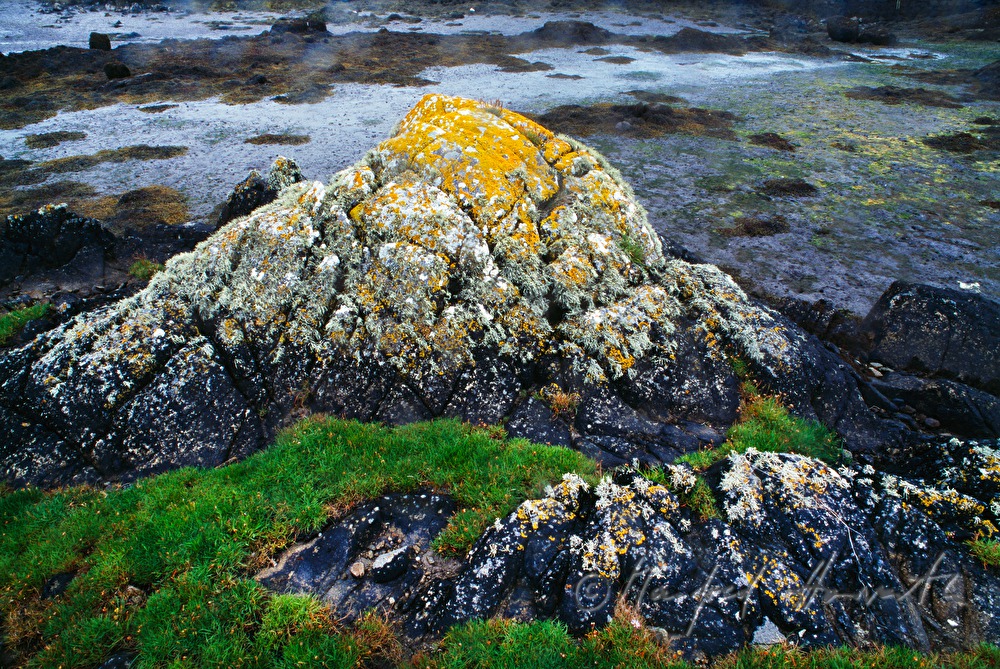 rock with red lichen growing on it