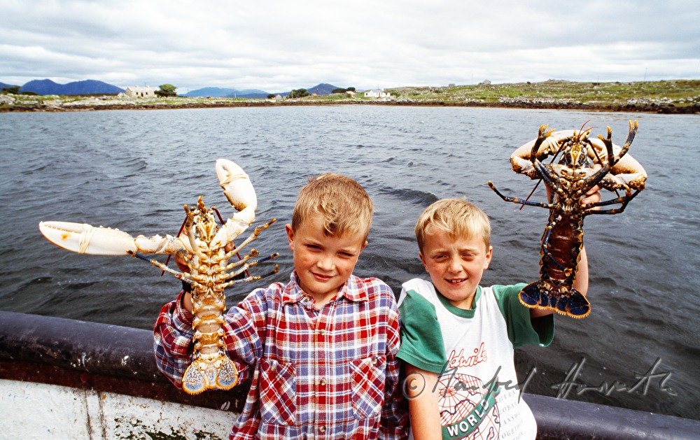 the sons of the lobster farmer show the catch