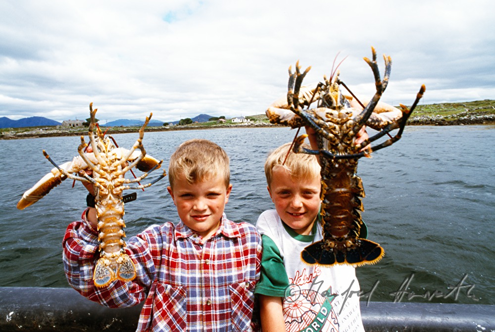 the sons of the lobster farmer show the catch