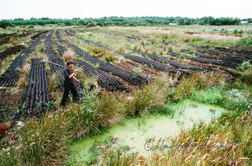 peat digger with cut peat in the pad