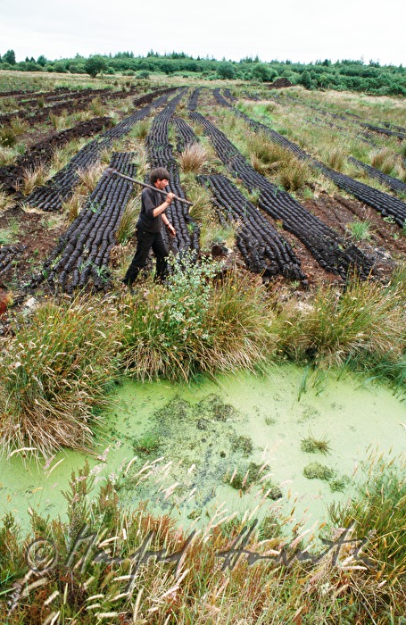 peat digger with cut peat in the pad