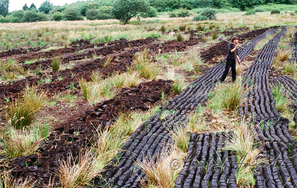 peat digger with cut peat in the pad