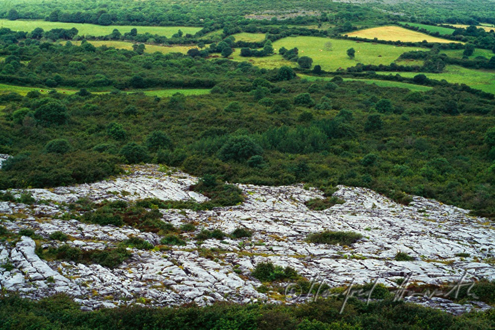 rutted karst plateau and green landscape