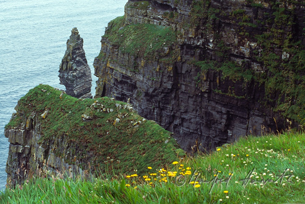 view from the path to the Atlantic Ocean