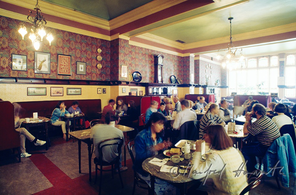 big cafe hall and visitors