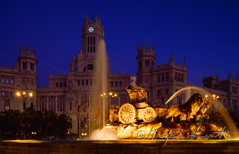 the fountain 