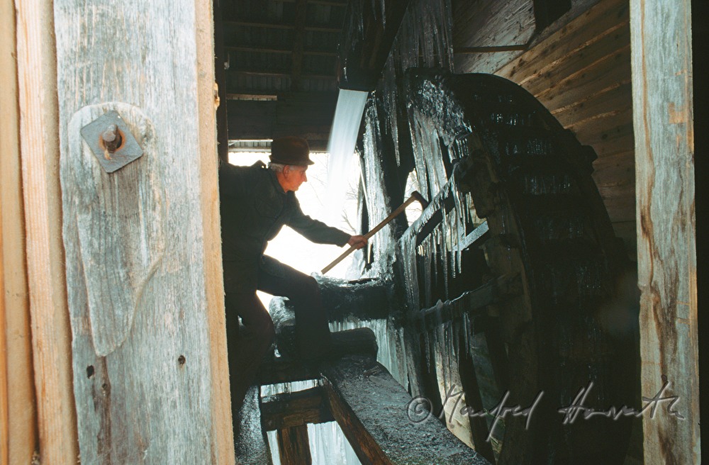 a miller clears the mill wheel from ice