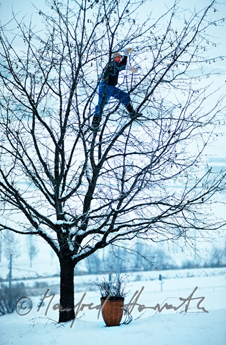 cutting of the branches (for Barbara Day)