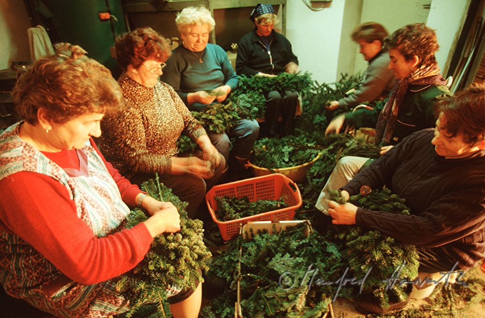 wattling of advent wreaths
