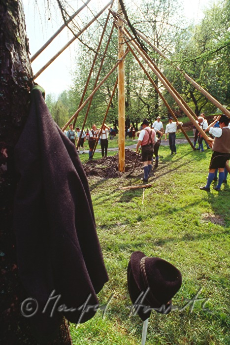 men setting up the maypole on 1st of May