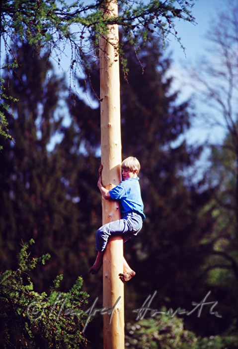 boy climbs the maypole on the 1st of May