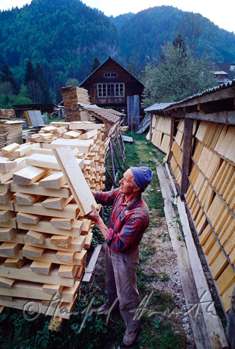 making of tonewood for violins
