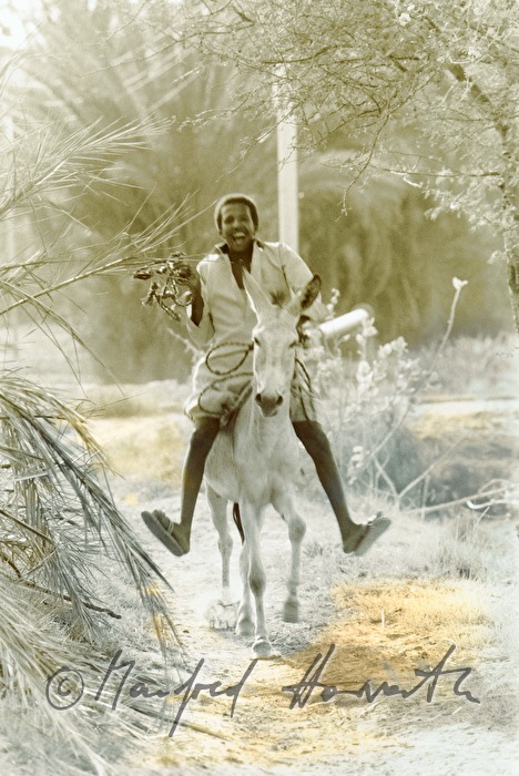 boy rides a donkey